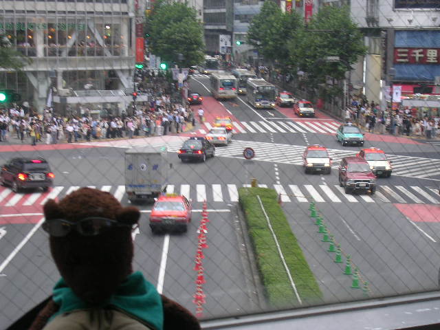 Bearsac in foreground of Shibuya crossing during drivers turn