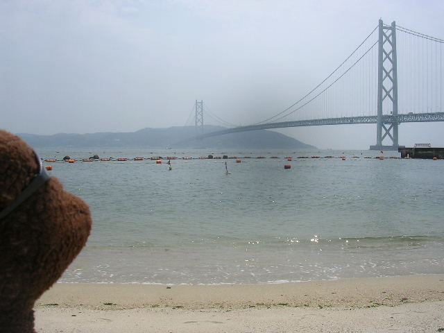 Bearsac looking at Kokonoe Yume Bridge