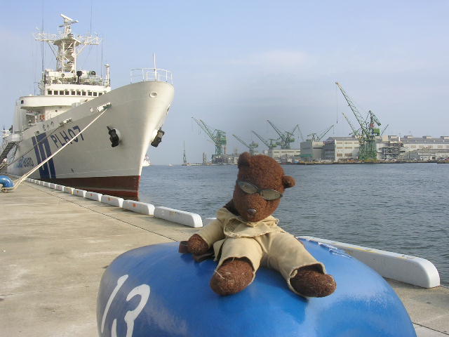Bearsac on a rope older at Harbor