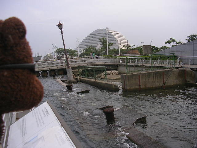 Bearsac at Japan's Kobe Earth quake memorial.
