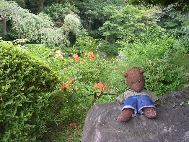 Bearsac sitting on a rock with flowered bush behind.