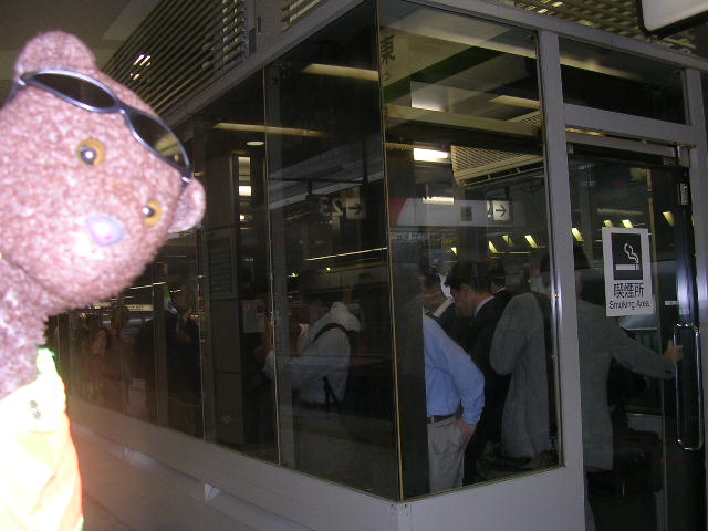 Bearsac beside packed glass smoking room