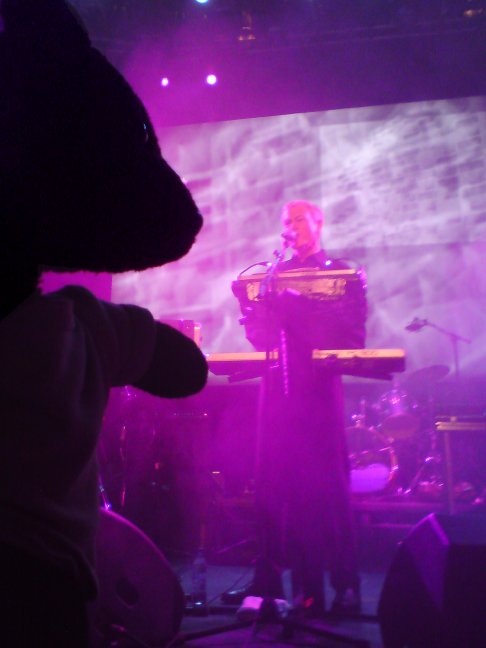 John Foxx in background, Bearsac at side.
