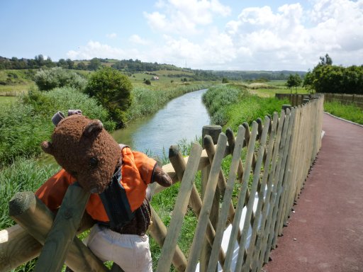 Bearsac on fence with river in background.