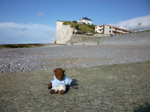 Bearsac sitting on pebble beach