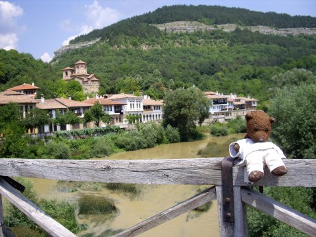 Bearsac sitting on wooden bridge