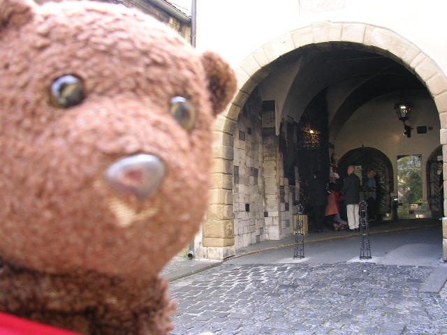 Bearsac beside Kamen vrata (Stone Gate)