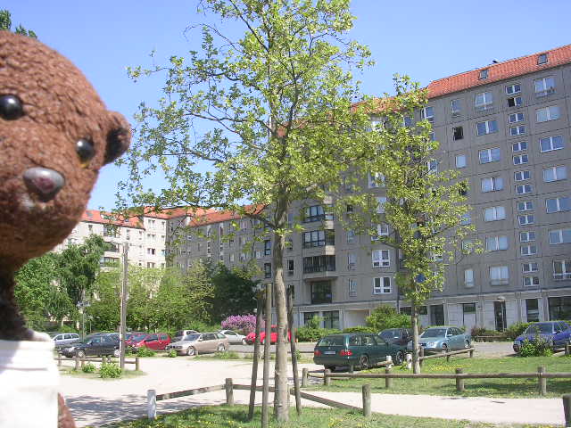 Bearsac by grass and carpark over Hitlers Bunker