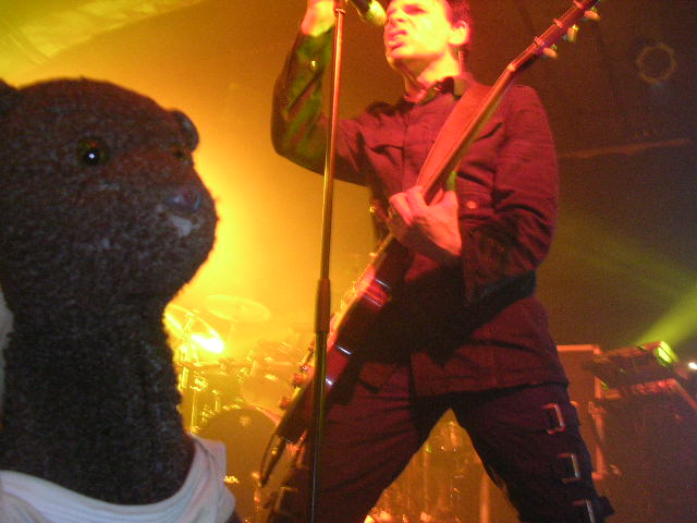 Bearsac in front of Gary Numan at a gig