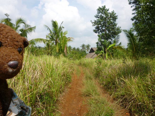 Bearsac by long grass and a mud path.