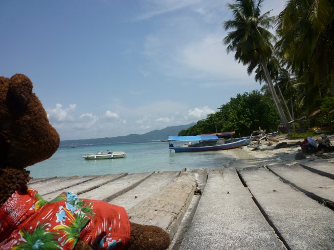 Bearsac sitting a wooden jetty looking at boats.