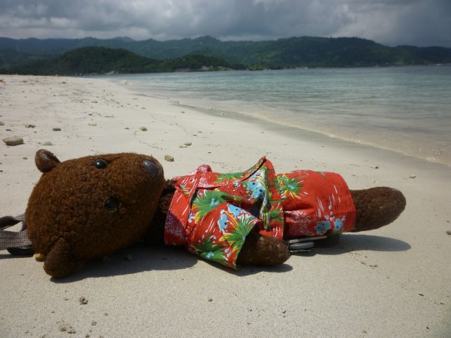 Bearsac lying on a sandy beach