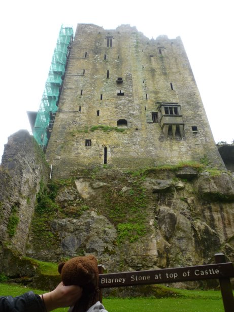 Bearsac looking up at Blarney Castle