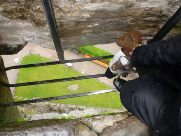 Bearsac at the Blarney Stone