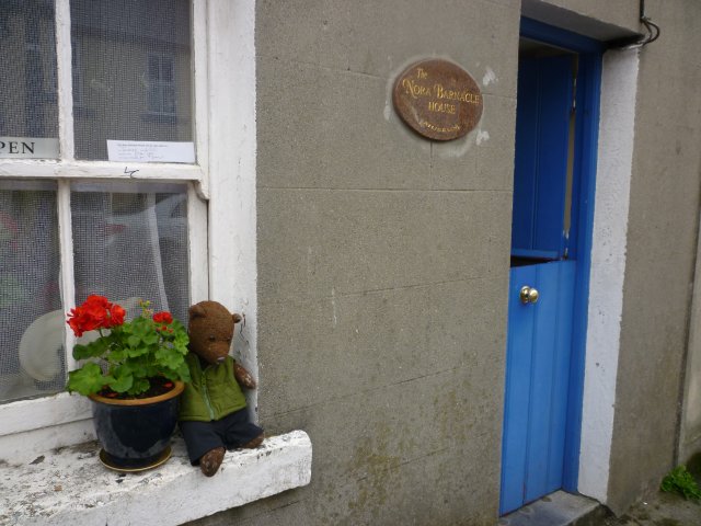 Bearsac sitting on the windowsill outside Nora Barnacle House