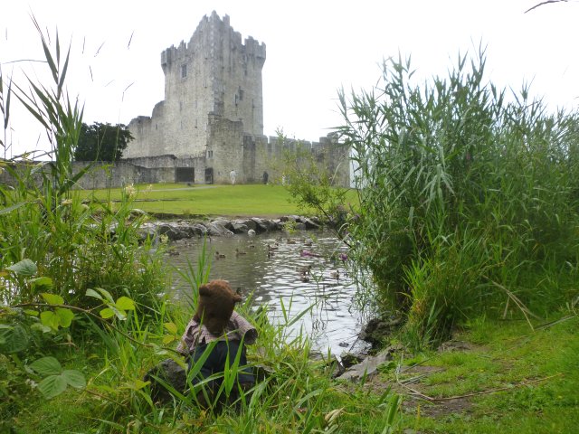 Bearsac in foreground of Killarney Ross Castle