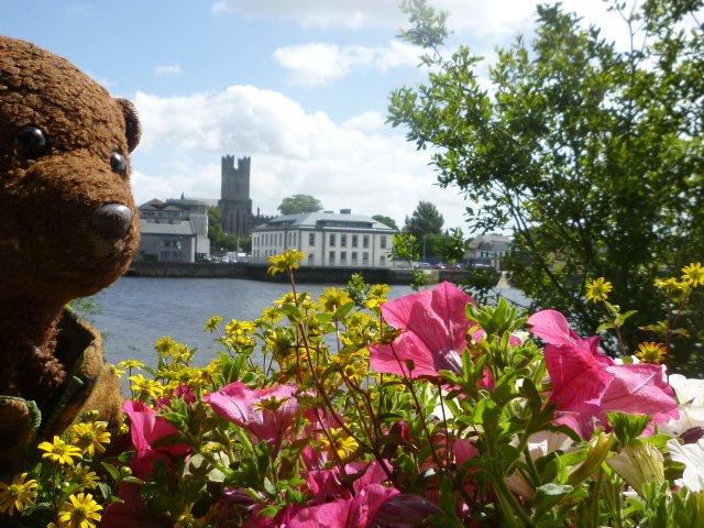 Bearsac beside the River Shannon