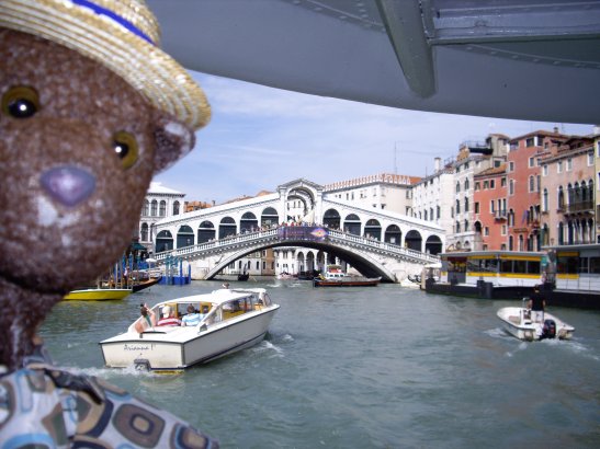 Bearsac in foreground of Rialto Bridge