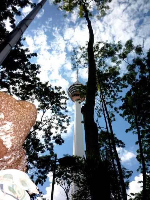 Bearsac looking up at KL Tower