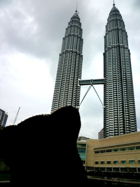 Bearsac with his muzzle tuned up towards the Petronas Towers