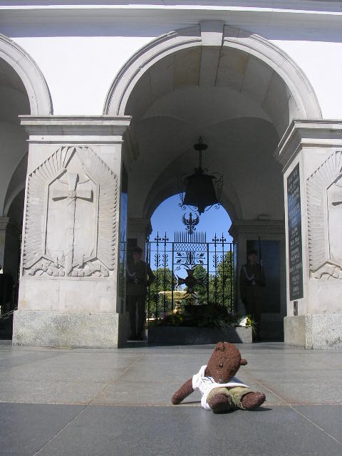 Bearsac in foreground of the monument to the unknown solider