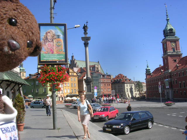 Bearsac in foreground of Sigismund's Column