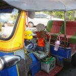 Bearsac sitting in a rickshaw