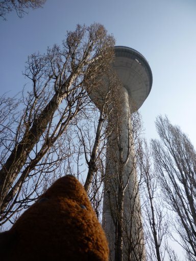 Bearsac's muzzle pointed up towards top of TV Tower.