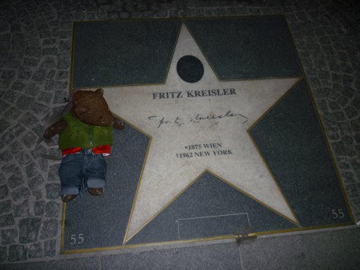 Bearsac sitting on Hollywood-like star stone of Fritz Kreisler