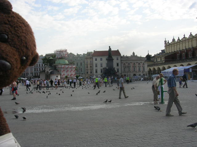 Bearsac in Rynek Główny