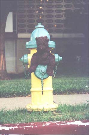 Bearsac sitting on a water hydrant.