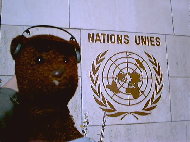 Bearscac beside the United Nations sign