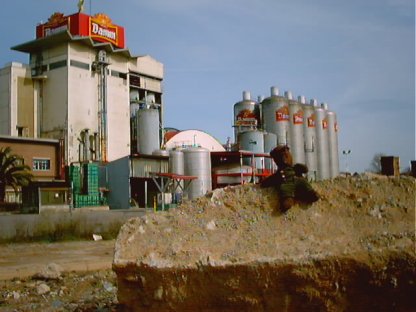 Bearsac in foreground of a brewery's external vats