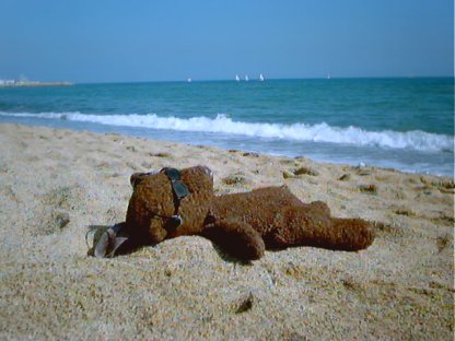 Bearsac lying on the beach, naked apart from sunglasses.
