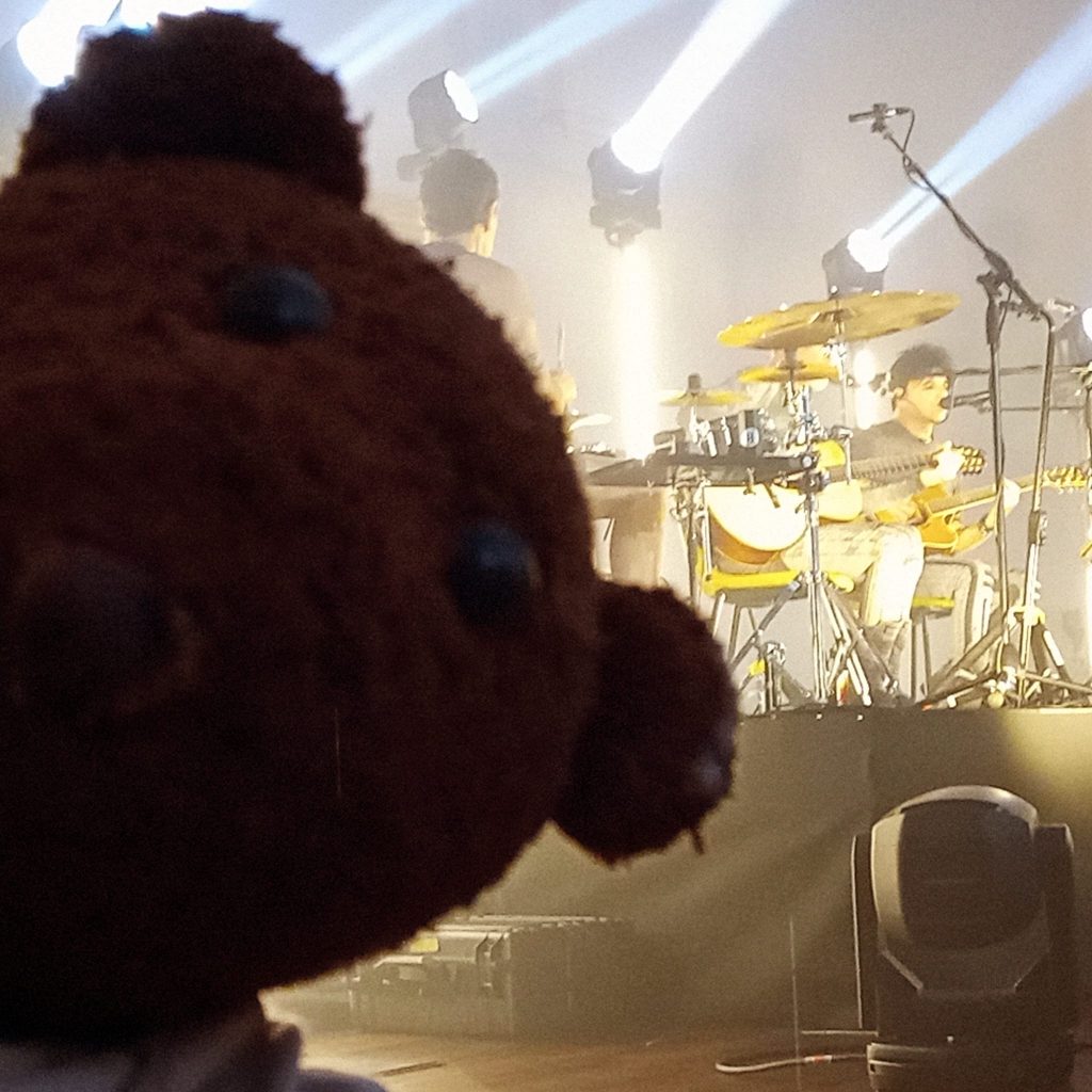 Bearsac in foreground of Gary Numan on stage