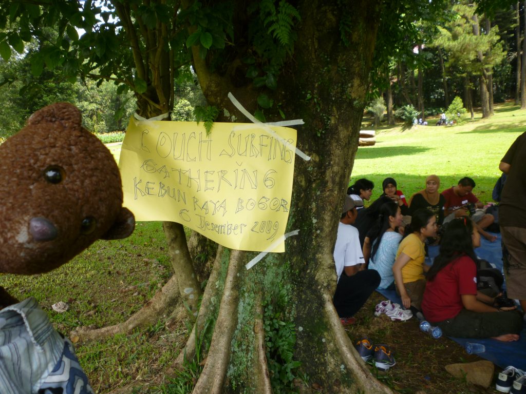 Bearsac the teddy bear bside atree witha DIY poster for a Couchsurfing picnic.