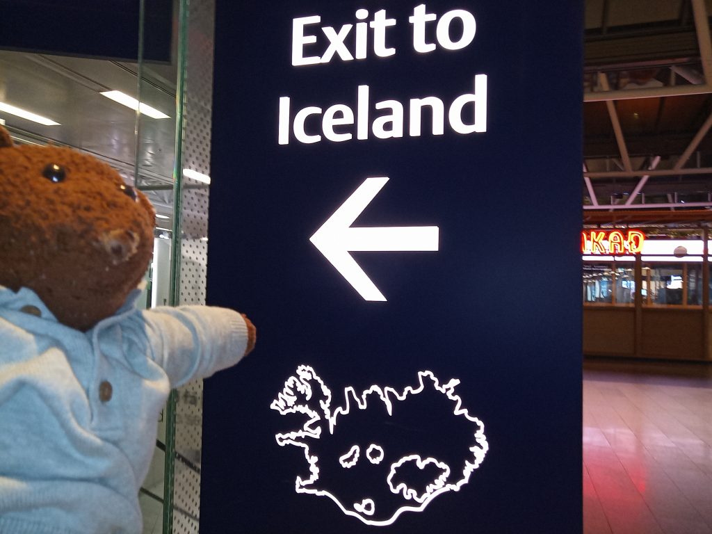 Bearsac the teddy bear in foreground of Exit to Iceland sign at te airport