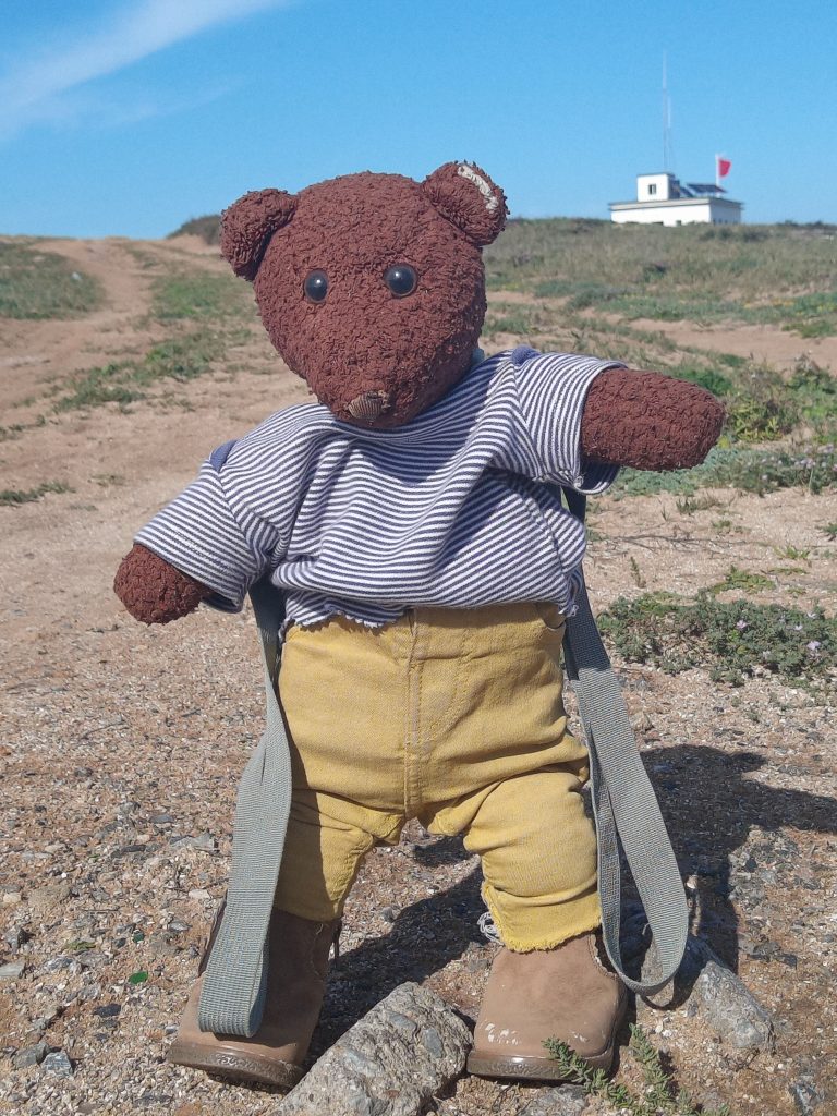 Bearsac the teddy bear standing on the sand