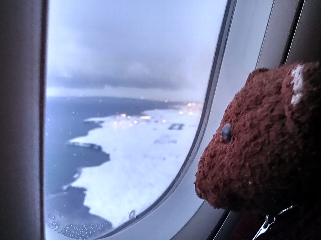 Bearsac the teddy bear besdie airplane window with ice covered land view.