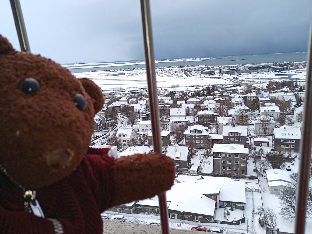 Bearsac the teddy bear in foreground of city view from Evangelical Lutheran Church tower
