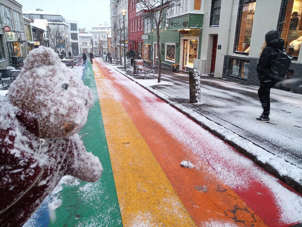 Teddy bear Bearsac with snow on his face in forground of arainbow coloured road.