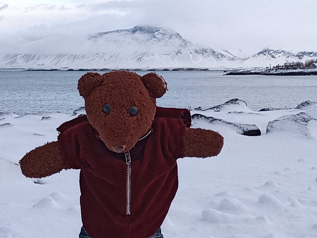 Teddy bear Bearsac in forground of snowclad mountains