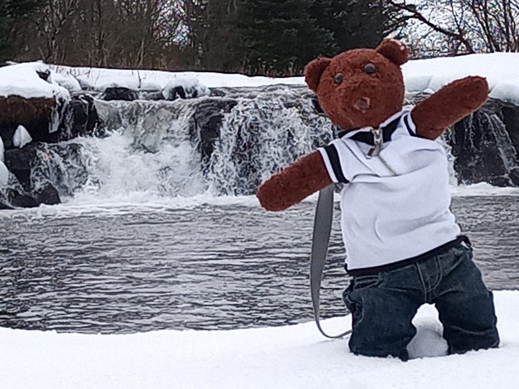 Teddy bear Bearsac stnding in the snow in forground of a small watefall