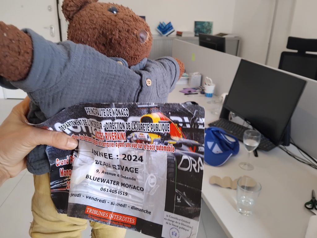 Teddy bear Bearsac with a pass for a restricted area