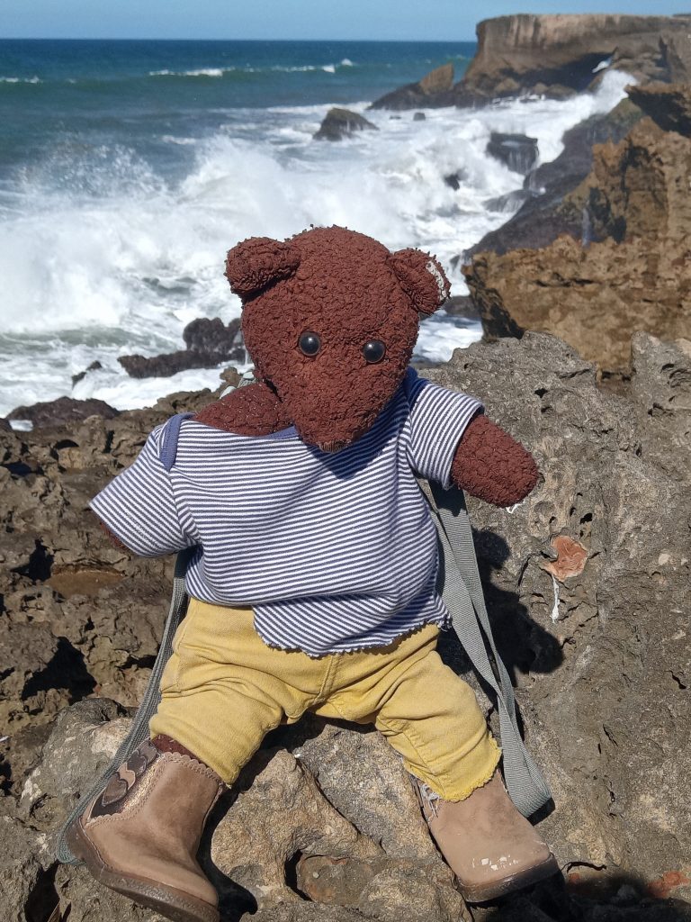 Teddy bear Bearsac sitting on sea rocks with splashing waves
