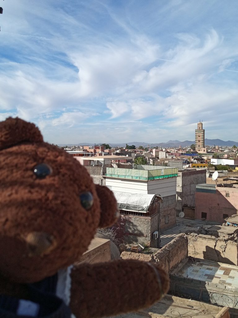 Teddy bear Bearsac in forground of a city scene