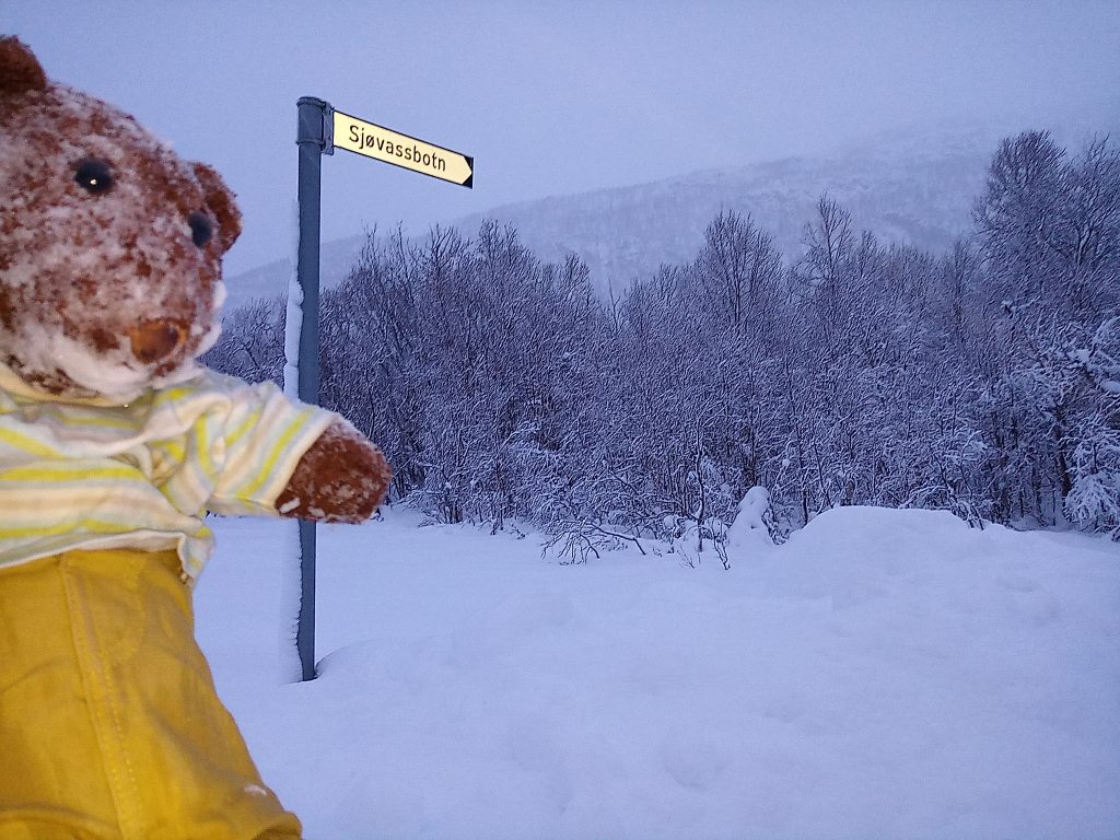 Teddy bear Bearsac in the foreground of a road sign for Sjovassbot