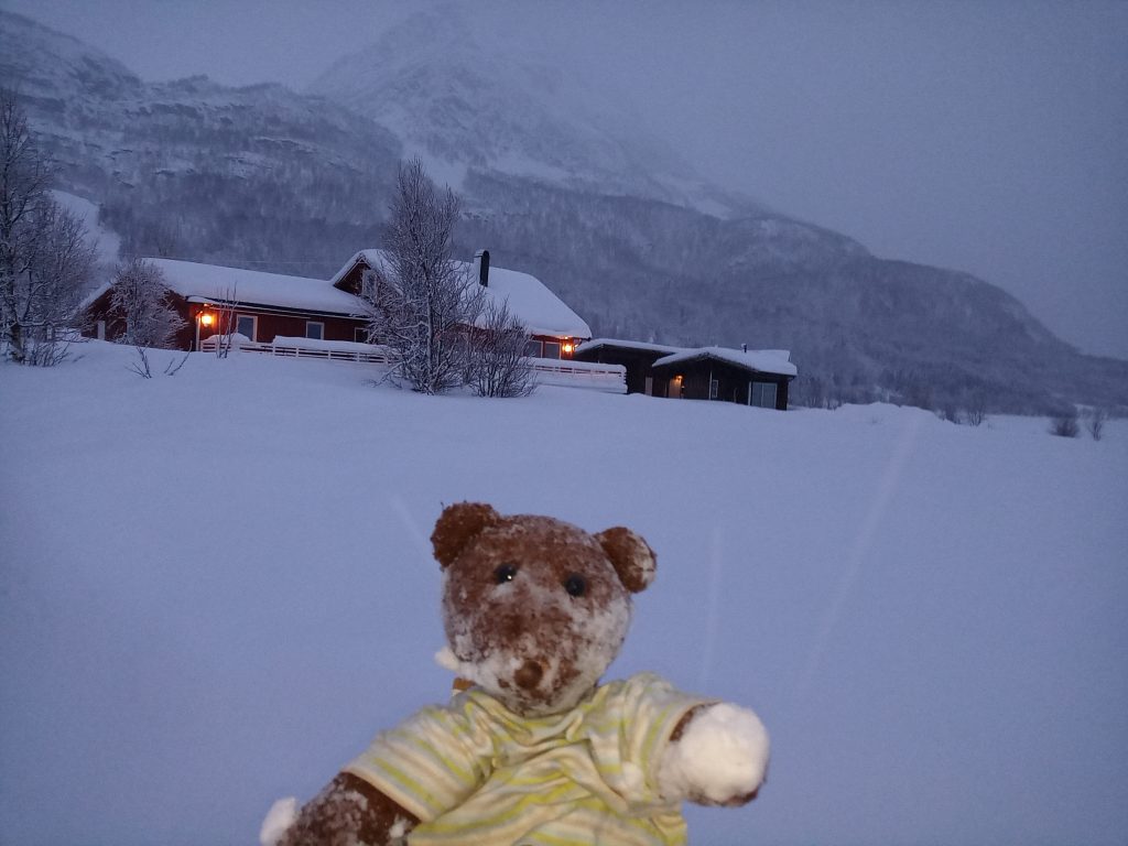 Teddy bear Bearsac standing in the snow witha snowball on his paw