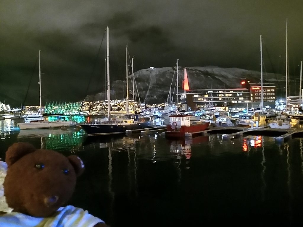 Teddy bear Bearsac in the foreground of a nightime sky and boat scene