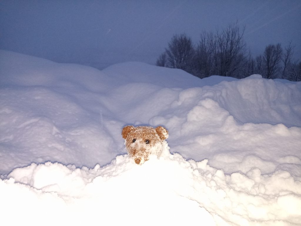 Teddy bear Bearsac in the snow up to his head with snow on his face